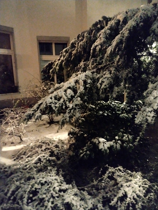 14 January