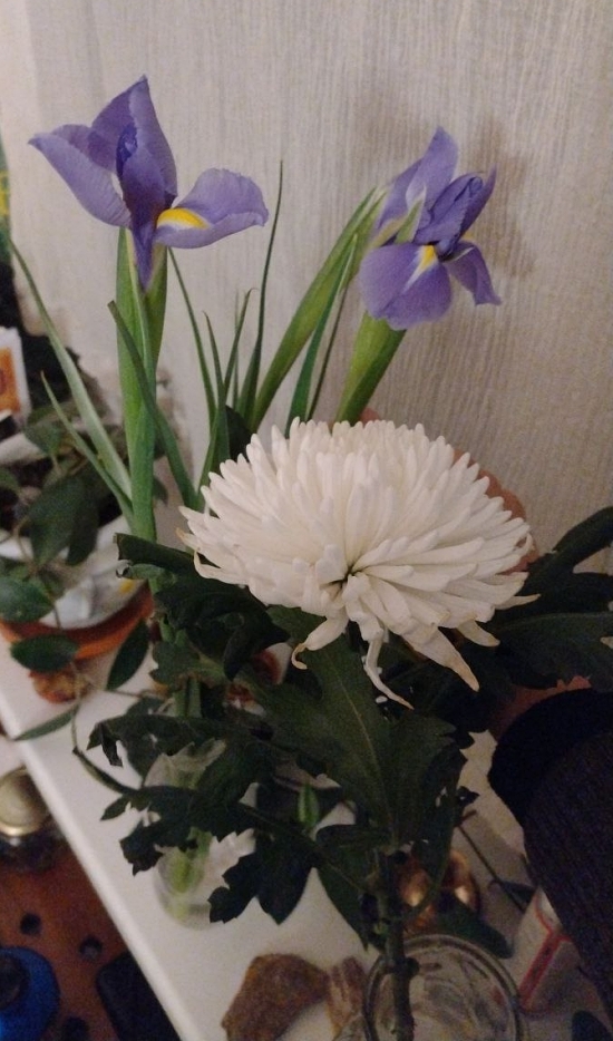 17 February