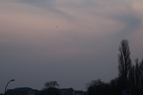 20 February