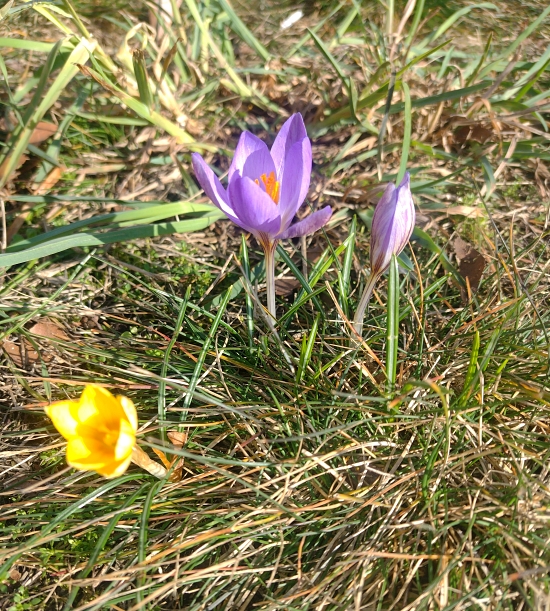 25 February