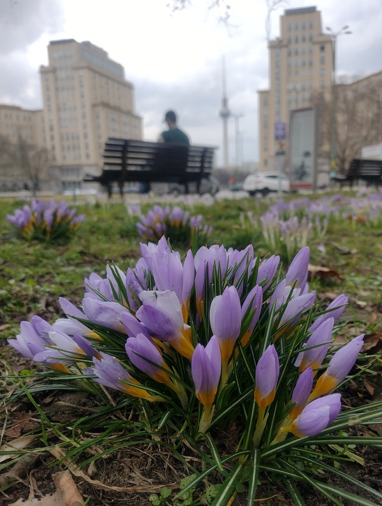 27 February