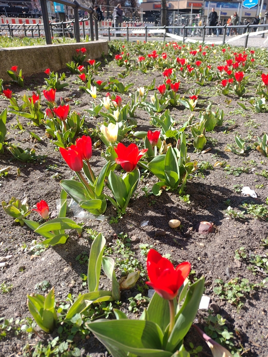 17 March