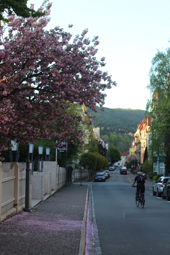 26 April