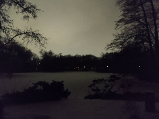 26 January