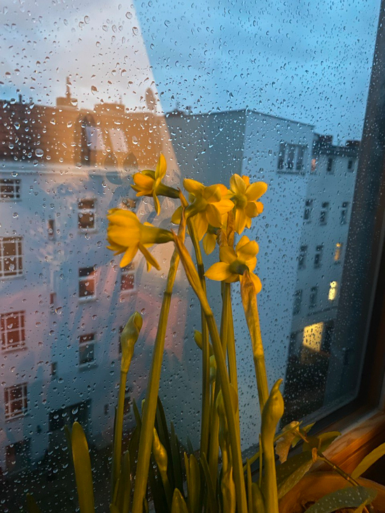 25 February
