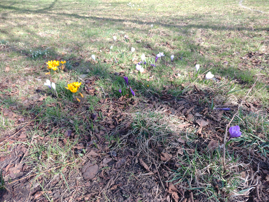 11 March