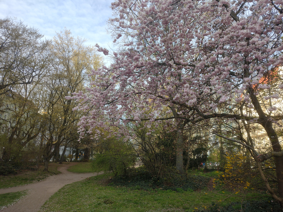 3 April