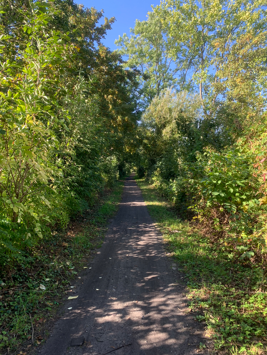 29 September